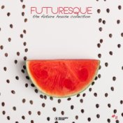 Futuresque - The Future House Collection, Vol. 11