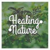 Healing Nature – Peaceful Music for Spa, Wellness, Deep Massage, Restful Sleep, Relaxing Waves, Sea Sounds, Stress Free, Asian M...