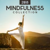 2018 Mindfulness Collection
