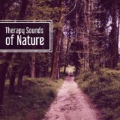 Therapy Sounds of Nature – Deep Meditation, Music for Relaxation, Sea Waves, Soothing Rain, Singing Birds, Deep Sleep