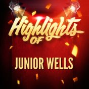 Highlights of Junior Wells