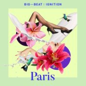 Big Beat Ignition: Paris