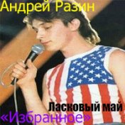 Андрей Разин