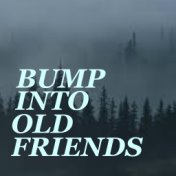 Bump Into An Old Friend