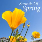 Sounds Of Spring