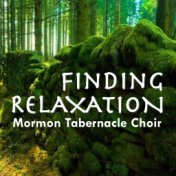 Finding Relaxation