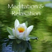 Meditation & Relaxation