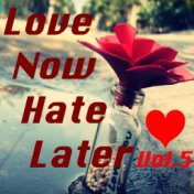 Love Now Hate Later, Vol. 5