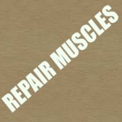 Repair Muscles
