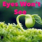 Eyes Won't See