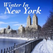 Winter In New York