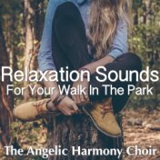 Relaxation Sounds For Your Walk In The Park