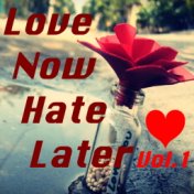 Love Now Hate Later, Vol. 1
