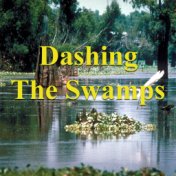 Dashing The Swamps