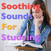 Soothing Sounds For Studying