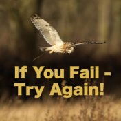If You Fail - Try Again!