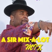 A Sir Mix-A-Lot Mix