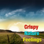 Crispy Nature Feelings