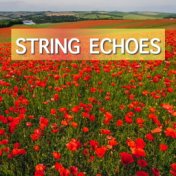 String Echoes