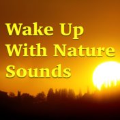 Wake Up With Nature Sounds