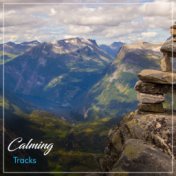 #17 Calming Tracks for Meditation and Yoga