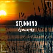 #14 Stunning Sounds for Buddhist Meditation and Yoga