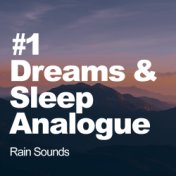 #1 Dreams & Sleep Analogue