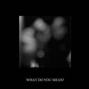 What Do You Mean?