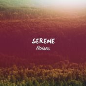 #21 Serene Noises for Meditation and Yoga