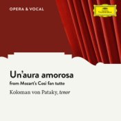 Mozart: Un'aura amorosa