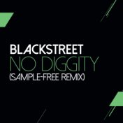 No Diggity (Sam Wilkes & Brian Green Sample Free Remix)