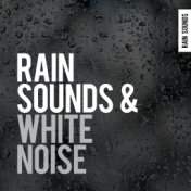 Rain Sounds & White Noise