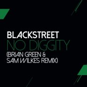 No Diggity (Sam Wilkes & Brian Green Remix)