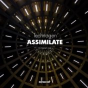 Assimilate