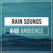 #48 Ambience Rain Sounds