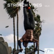 Stretch Vibes, Vol. 11