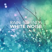 Rain Sounds & White Noise