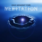One Moment for Meditation: Deep Relaxing Echo of Nature, 15 Songs for Yoga Exercises & Tranquility Meditation