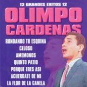 12 Grandes Exitos