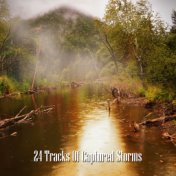 24 Tracks Of Captured Storms