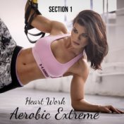 Aerobic Extreme (Section 1)