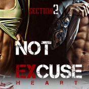 Not Excuse (Section 2)