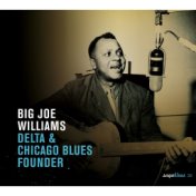 Saga Blues: Delta & Chicago Blues Founder