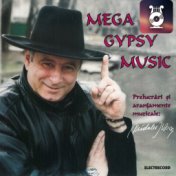 Mega Gypsy Music, Vol. II