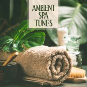 Ambient Spa Tunes - Relaxing Melodies for Therapy, Massage, Rest and Chill Out