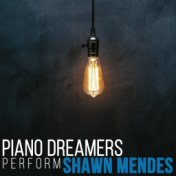 Piano Dreamers Perform Shawn Mendes