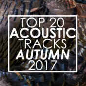 Top 20 Acoustic Tracks Fall 2017 (Instrumental)