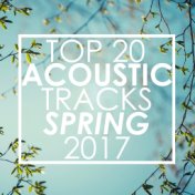 Top 20 Acoustic Tracks Spring 2017 (Instrumental)