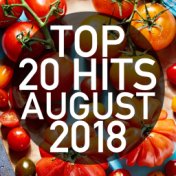 Top 20 Hits August 2018 (Instrumental)