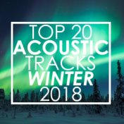 Top 20 Acoustic Tracks Winter 2018 (Instrumental)